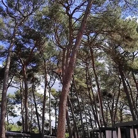 Mobile Porton Nature Hideouts Rovigno